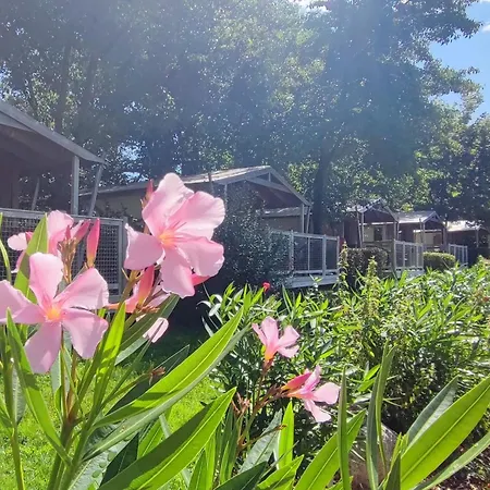 Capfun La Breteche Campingplatz